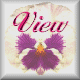 View Guestbook